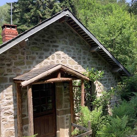 Woodland Cottage Faux-la-Montagne Exteriér fotografie